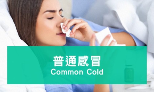 生理期催乳素800多正常吗-月经期间催乳素270ulu网 - 为你提供月经期间催乳素高是什么原因、生理期催乳素800多正常吗