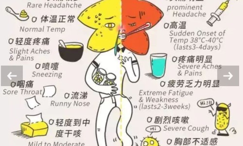 生理期催乳素800多正常吗-月经期间催乳素270ulu网 - 为你提供月经期间催乳素高是什么原因、生理期催乳素800多正常吗