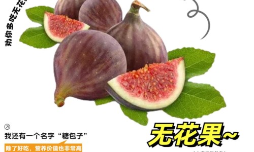 生理期催乳素800多正常吗-月经期间催乳素270ulu网 - 为你提供月经期间催乳素高是什么原因、生理期催乳素800多正常吗
